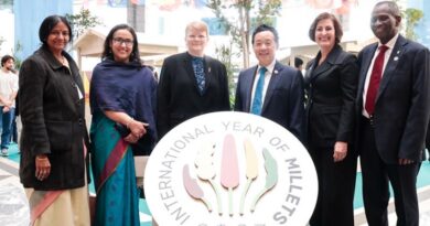 Investing in the "super-powers" of millets to boost their contribution to global food security