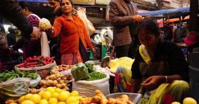 India's Lemon Prices Skyrocket as Production Shortfall Sparks Supply Shortage