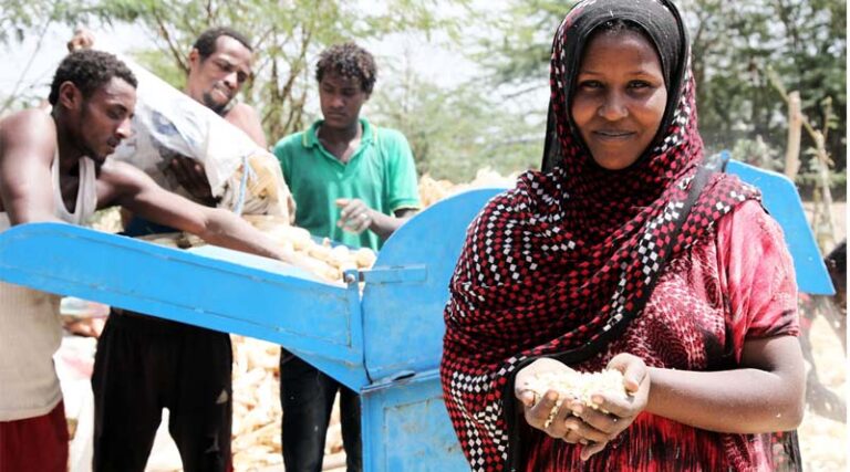 FAO and Mars join forces again to strengthen food safety