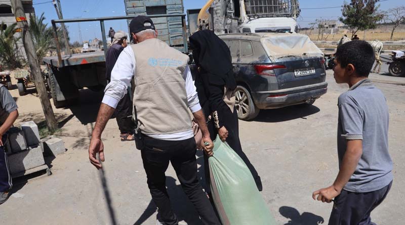 Gaza: FAO contributes to fighting malnutrition and starvation