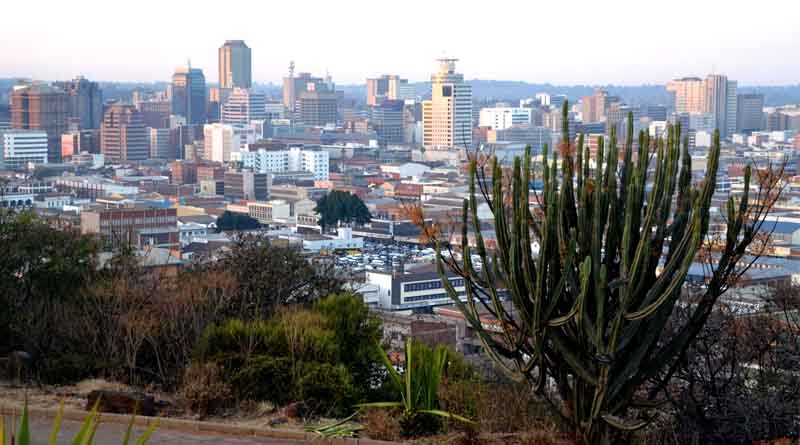 Zimbabwe: Climate change driving rural-urban migration of snakes