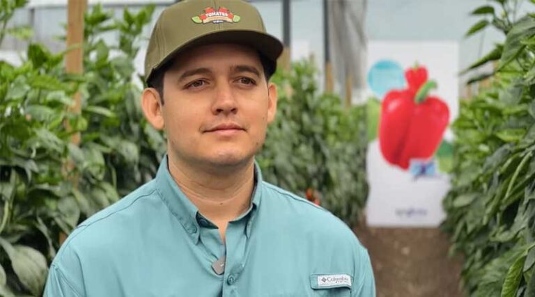 Peppers with Pest Resistance and Versatility Enable Grower Success