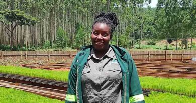 FAO and EU launch 15 million euro project to boost sustainability of Uganda’s forestry sector