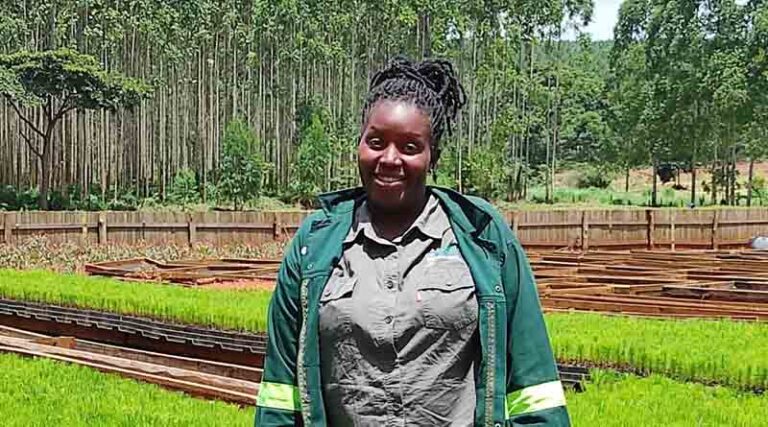 FAO and EU launch 15 million euro project to boost sustainability of Uganda’s forestry sector