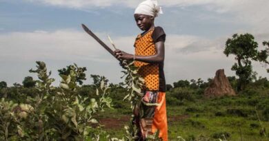 Bridging the gender digital divide in Ghana