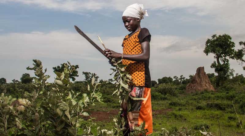 Bridging the gender digital divide in Ghana