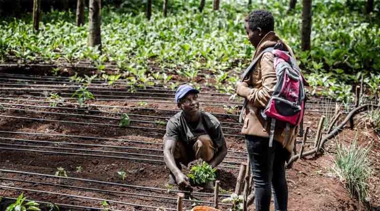 Productive Alliances: Partnering for Greater Inclusiveness and Efficiency in Agricultural Systems