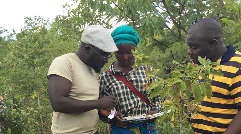 With Agricultural Diversification, More is Better