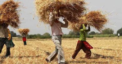 Organic agriculture in the tropics: a contributor to local livelihoods