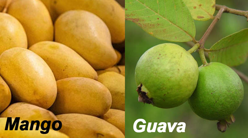 Mango, Guava
