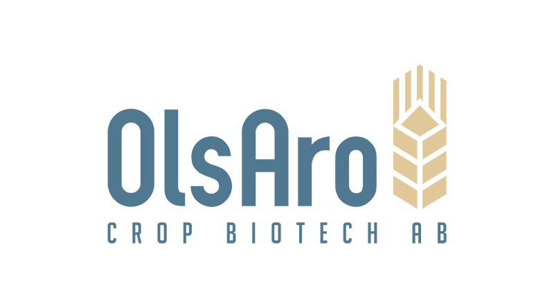 OlsAro raises €2.5m seed round to expand AI-enabled climate smart crop breeding platform