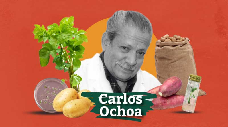 Carlos Ochoa: The Indiana Jones of the Potato World