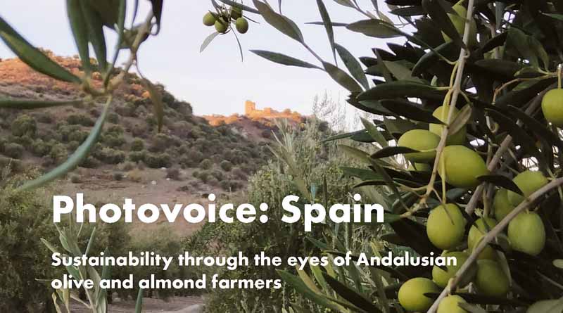 Photovoice: Sustainability in images and words from the perspective of farmers in Andalusia and Ecuador