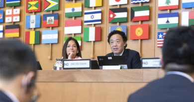 Director-General wraps up Joint Meeting of FAO Programme and Finance Committees