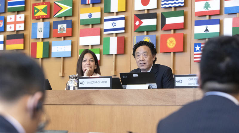 Director-General wraps up Joint Meeting of FAO Programme and Finance Committees
