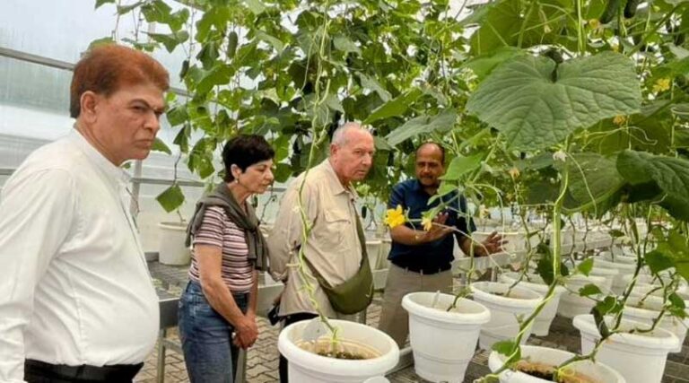 CSKHPAU to have a centre of excellence on protected cultivation Palampur 23 May