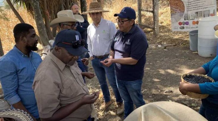 Mexico, a Lab From Which Solutions Are Generated to Address Global Challenges