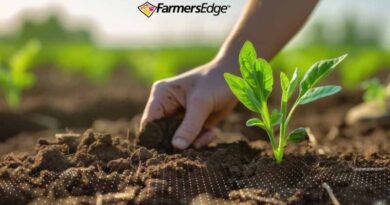 Dig Deeper: 5 Reasons to Make Soil Testing a Priority