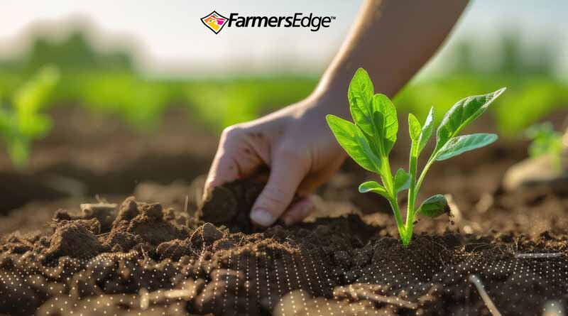 Dig Deeper: 5 Reasons to Make Soil Testing a Priority