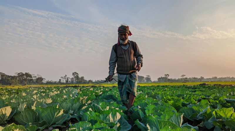 Plantwiseplus Develops Agro-input Dealer Training Scheme With Bangladesh Government