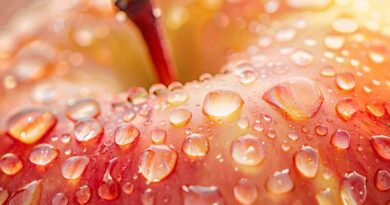 5 Brands Revolutionizing Fresh Fruit Retail Wastage Reduction Solutions