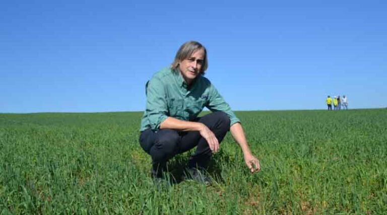 West Africa Fertilizer Association Draws On APNI Expertise For Nutrient Use Knowledge Upgrade