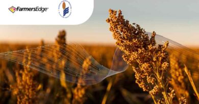 Farmers Edge and National Sorghum Producers Join Forces to Empower Growers for Climate-Smart Commodities Grant