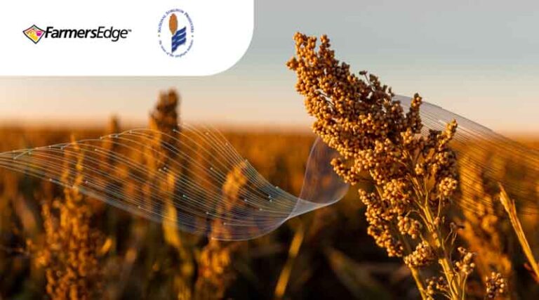 Farmers Edge and National Sorghum Producers Join Forces to Empower Growers for Climate-Smart Commodities Grant