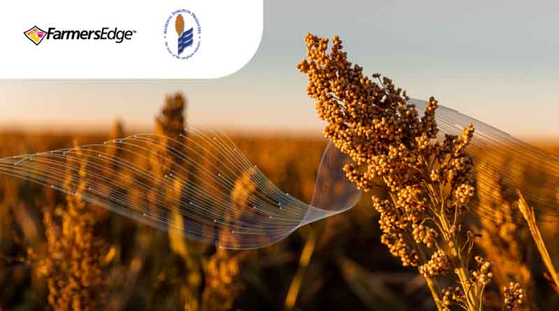 Farmers Edge and National Sorghum Producers Join Forces to Empower Growers for Climate-Smart Commodities Grant
