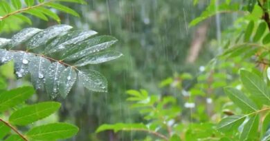 Monsoon Update: Monsoon Hits Kerala Two Days Ahead