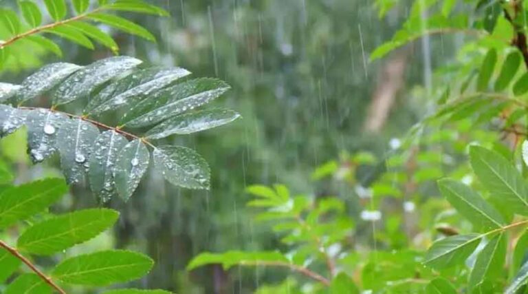 Monsoon Update: Monsoon Hits Kerala Two Days Ahead