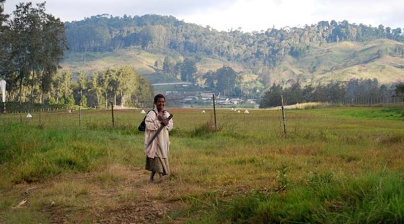 Improving Plant Health in Papua New Guinea With Plant Doctor Training
