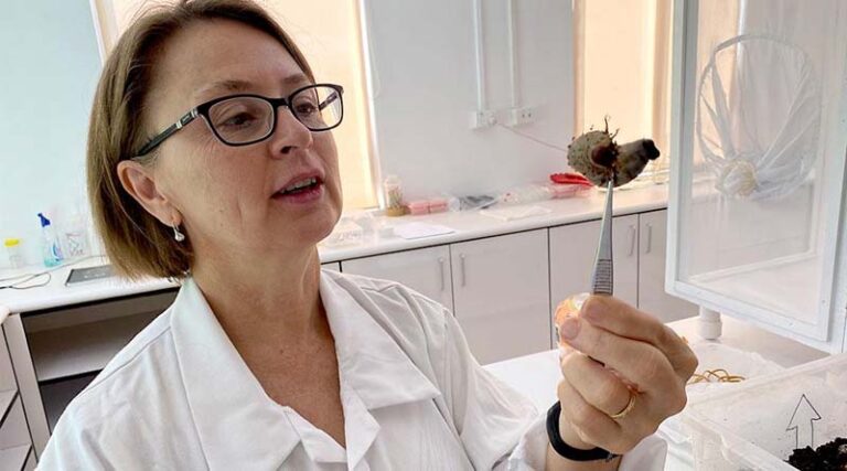 Better be-leaf it: celebrating International Day of Plant Health