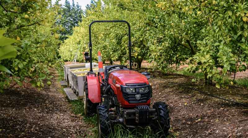 Call for Fruit and Vegetable Growers to Vote in HortNZ Levy Referendum