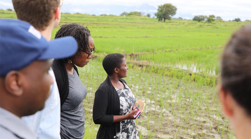 Building a climate-smarter Tanzania