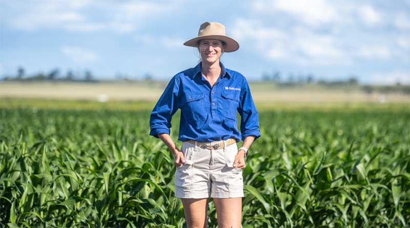 Agronomy expertise set to bring benefits to Western Downs growers