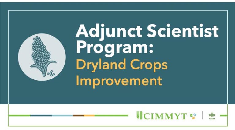 CIMMYT Academy invites applications for Adjunct Scientist Program: Dryland Crops Improvement