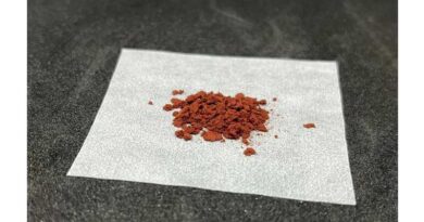 More efficient bioethanol production might be possible using persimmon tannin to help yeast thrive