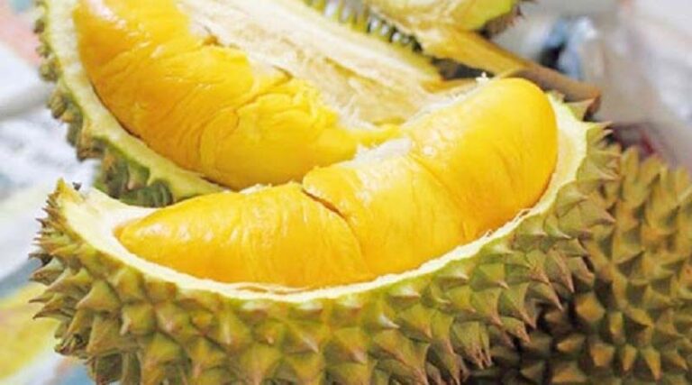 4 Vietnamese Agricultural Products Are Popular Around the World