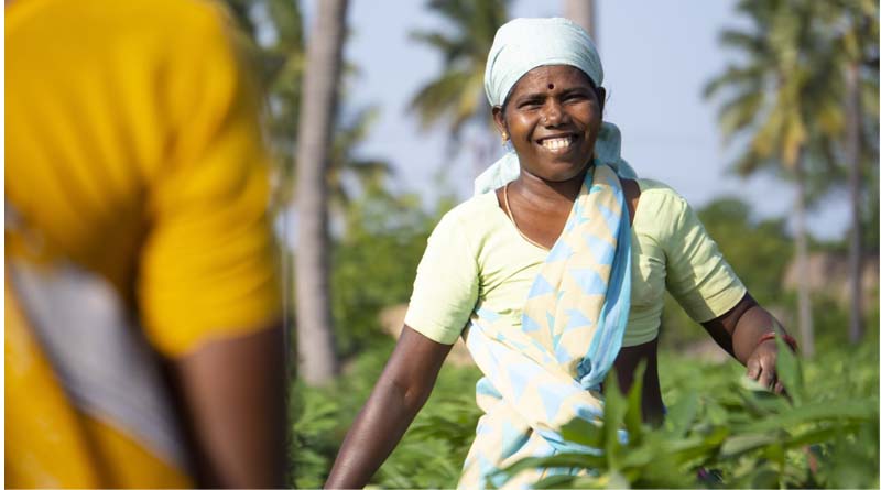 From Illusion to Actuality: Transforming Formal Agriculture Credit