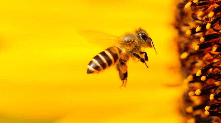World Bee Day: FMC Empowering Rural Women through Beekeeping Initiatives