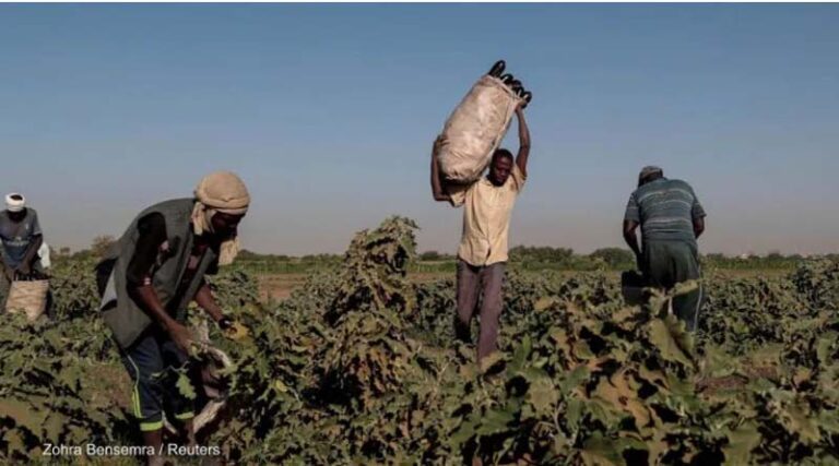 Opinion: Aid competes with long-term solutions to Sudan’s hunger crisis
