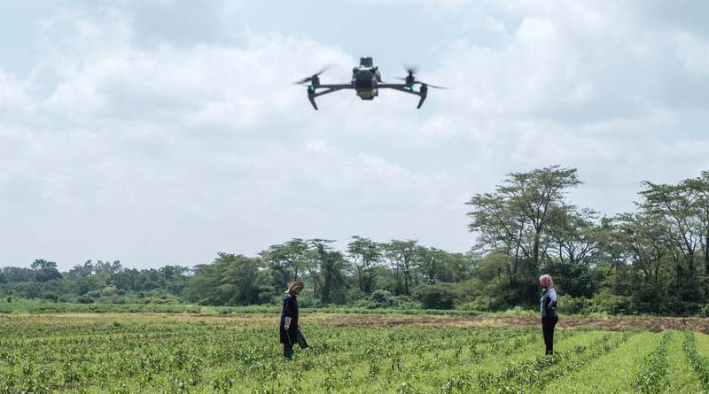 FAO highlights the potential of AI and the digital revolution to transform the world's agrifood systems