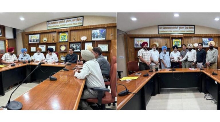 PAU Registers First Biocontrol Agent for Foot Rot Disease Management in Basmati Paddy
