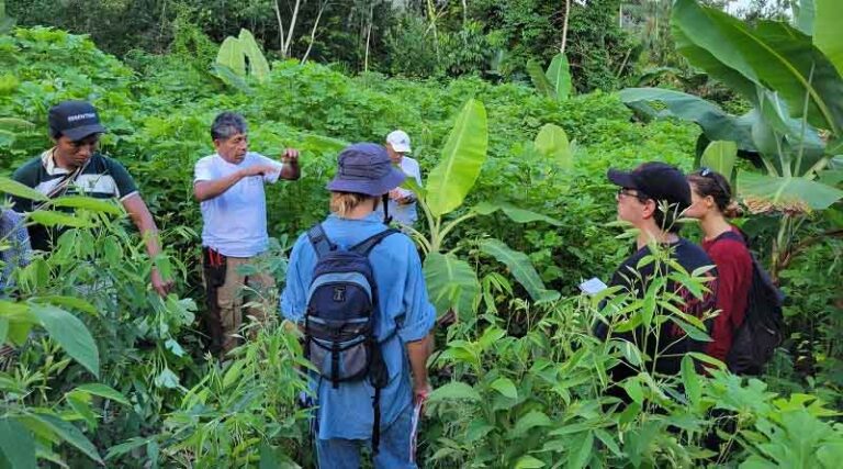 Advancing Organic Cacao Cultivation in Agroforestry: Successful Training in Bolivia