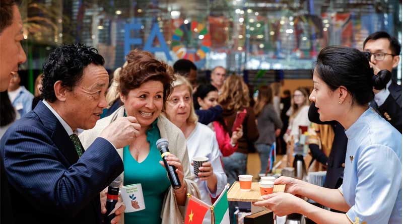 On International Tea Day, FAO Spotlights the Role of Women in the Sector and Their Significant Contributions