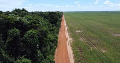 Syngenta Group and The Nature Conservancy (TNC) extend collaboration