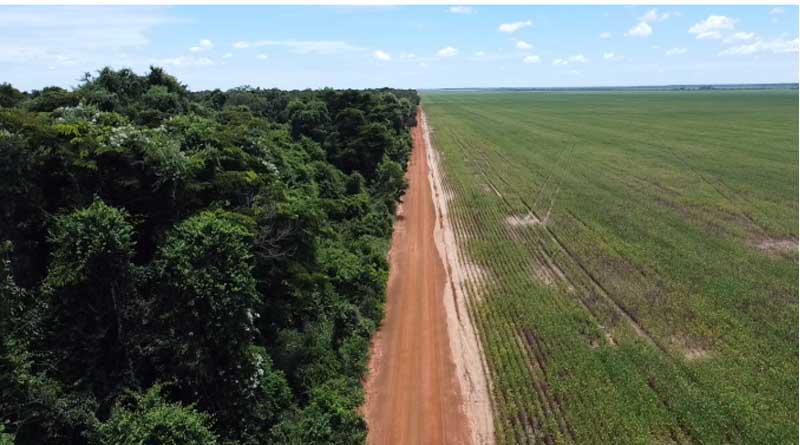 Syngenta Group and The Nature Conservancy (TNC) extend collaboration