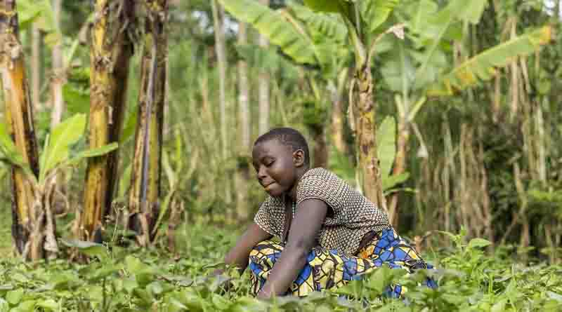 Reducing Pesticide Risks and Using Nature-based Solutions Can Address Biodiversity Loss – Here’s How