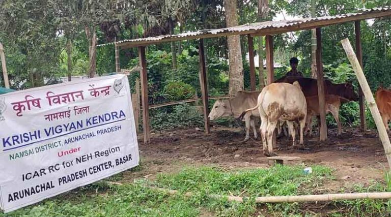 The Multi-species Livestock and Poultry Farming System Enhancing Productivity and Improving Livelihood of Tribal Youth in Namsai, Arunachal Pradesh